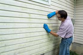 Best Vinyl Siding Installation  in Barbourmeade, KY